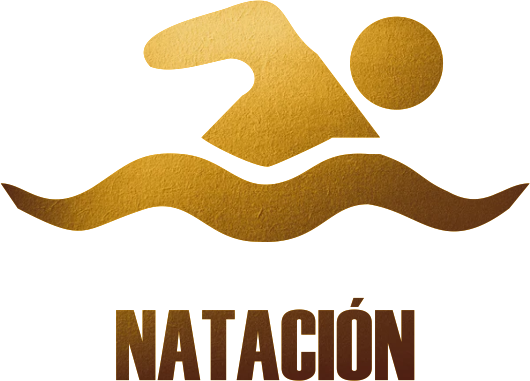 Camiseta Deportiva